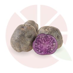 Patate Vitelotte