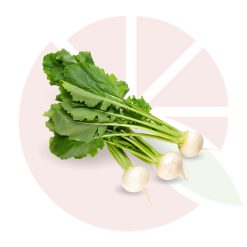 Rape Bianche fresche